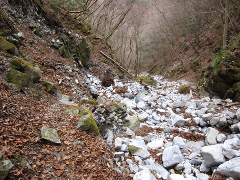 20200110hike (358)